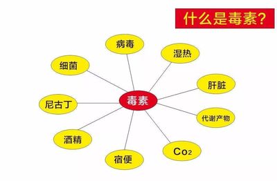 人类疾病的真正根源，真相竟然是毒素与二氧化碳？